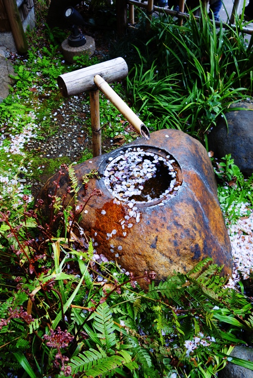 Bamboo Water Fountain - Japanese Garden Water Fountain - Cherry Blossom petals - Garden Water Feature