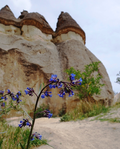 Cappadocia, Rock Chimneys, Fairy Chimneys, Rock Formations, Turkey