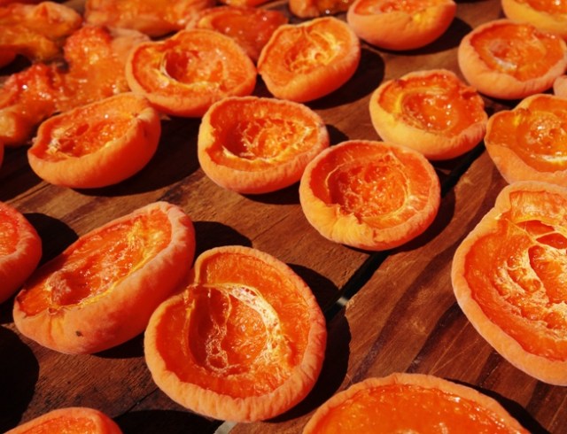 Drying Apricots, Dried Apricots, Apricot Processing, Drying Trays, California Sun