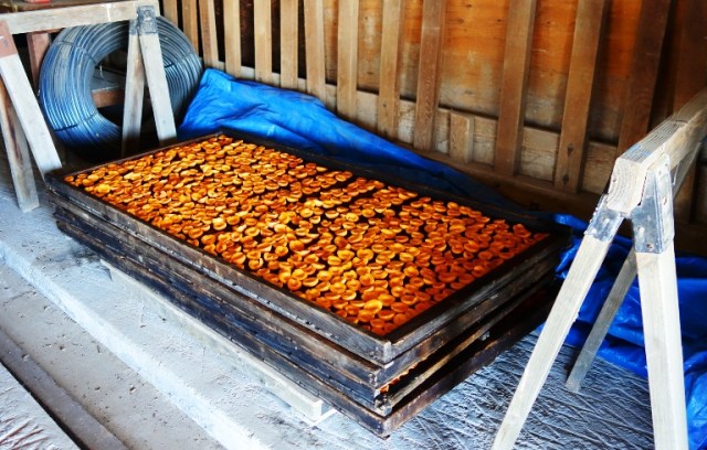 Dried Apricots, Apricot Halves, Apricot Drying Trays, Sulphuring, Sulfuring