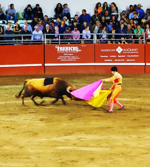 matador, cape work, bullfight, Portuguese bullfight, Tracy, California