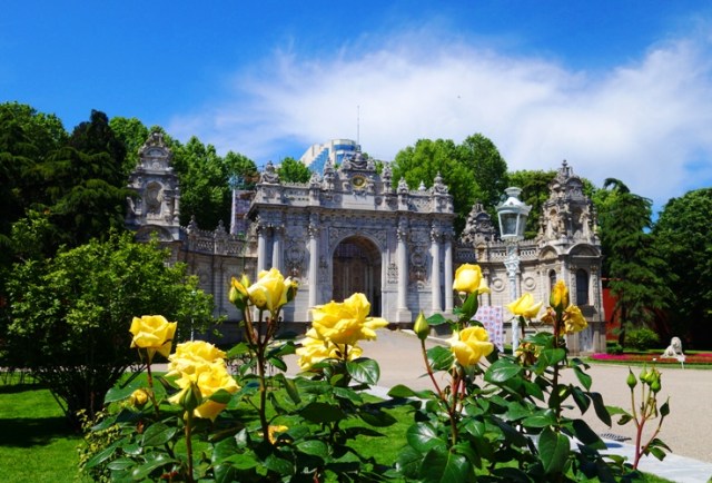 Dolmabahce Palace, Yellow Roses, Entry Gate, Istanbul, Roses, Turkey
