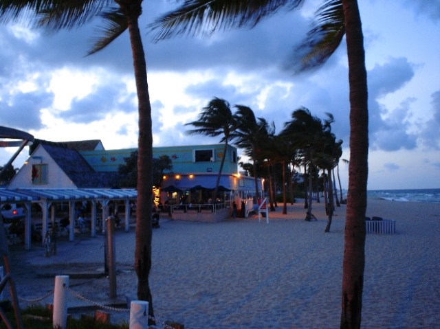 Florida Beach, Palm Trees, Threatening Sky, Windy Palms
