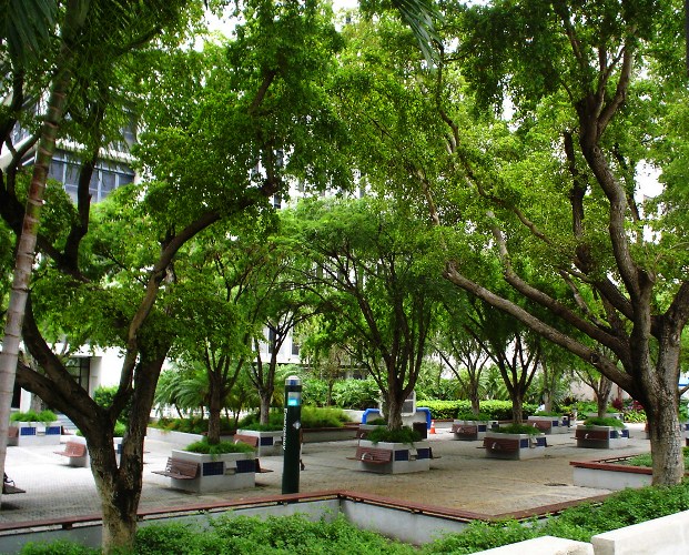 Miami, Florida, Park, Summertime