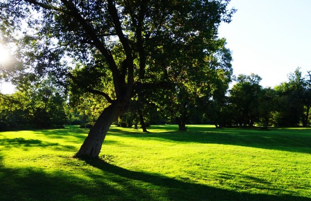 Rowntree Park, Toronto, Canada, Humber River Park, Walk in the Park