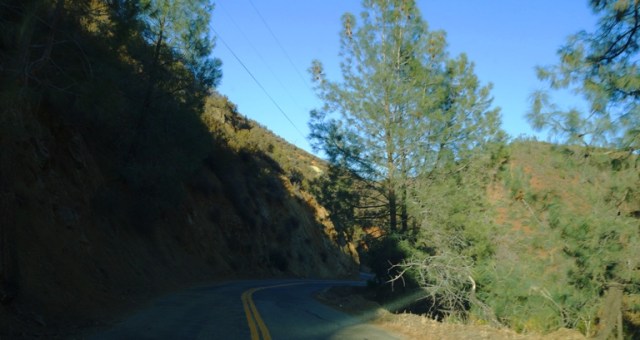 Del Puerto Canyon, Wilderness Area, Patterson, California, Free Range Cattle