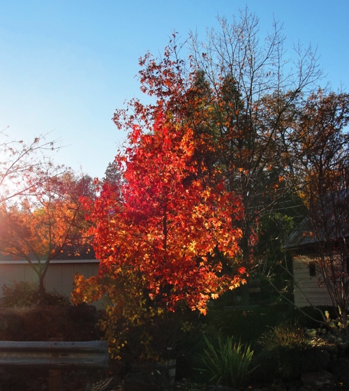 Fall Colors, Fall, Autumn, Change of seasons, Autumnal Equinox