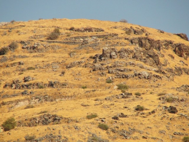Hippos, Hoppos-Sussita, Archaeological High Horse, Sea of Galilee, BAR