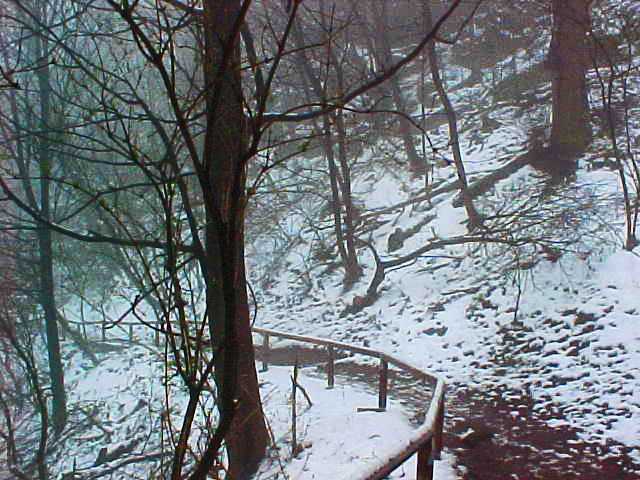 Wartburg, Eisenach, Martin Luther, Germany, Reformation, Snow