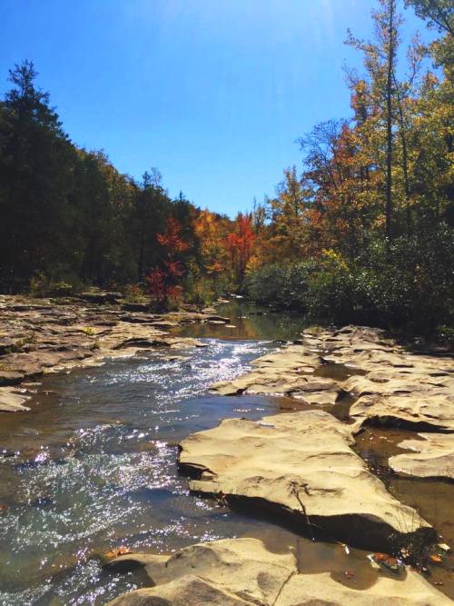 Richland Creek Wilderness Area, Arkansas, Scenic Spots
