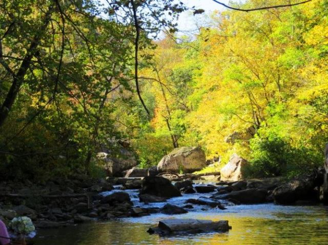 Richland Creek Wilderness Area, Fall Colors, Scenic Creek