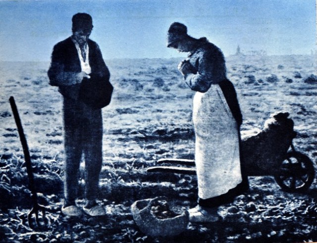 Thankful Farmers, Thanksgiving, Harvest