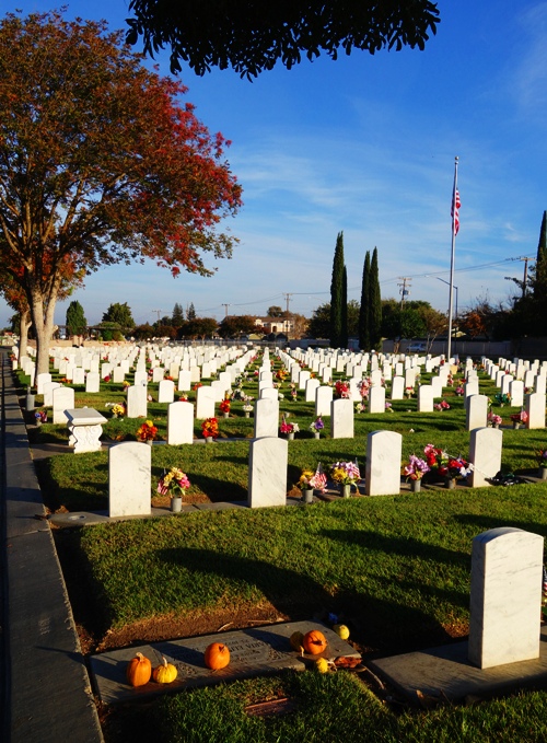 Tracy California, Little Arlington, Veterans, Veterans Day