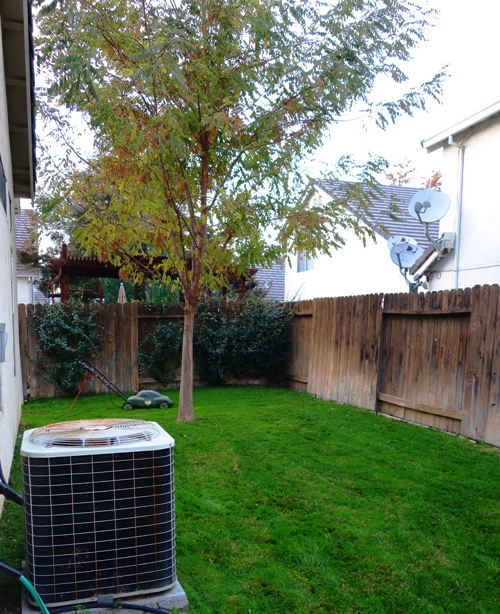 Mowed Back yard, yard work, Electric Mower, Winter Green Lawn