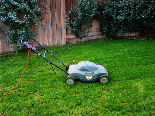 Electric Mower, Mowing the Yard, Lawn Care, Green Grass, Winter Grass