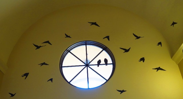 Birds in Transit, Migratory Birds, Tracy Transit Station, San Joaquin Valley, Tree Swallows