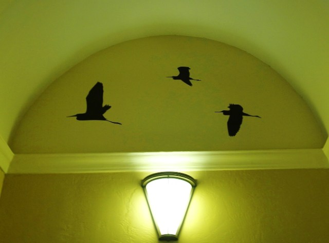 Anne M. Klint, Tracy Transit Station, Calidris minutilla, least sandpiper