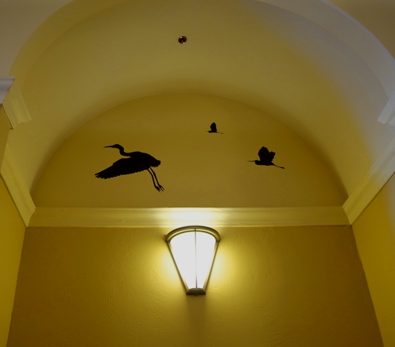 Birds in Transit, Tracy Transit Station, snowy egret