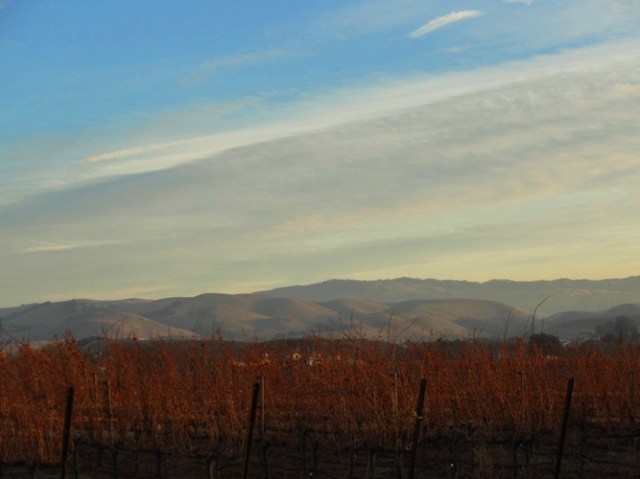 Livermore Hills, Livermore Vineyards, Campo di Bocce, Ruby Hill Vineyard