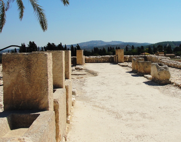 Tel Megiddo, Stables, Mangers, Horses, Chariot City, King Ahab