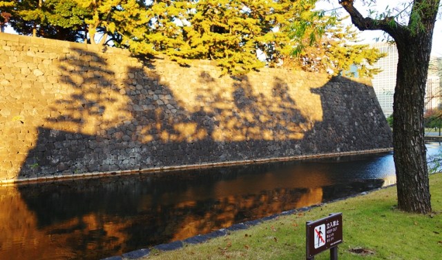 Shadows and Reflections, Edo Castle, Gate, Moat, Tokyo, Reflection of Shadow