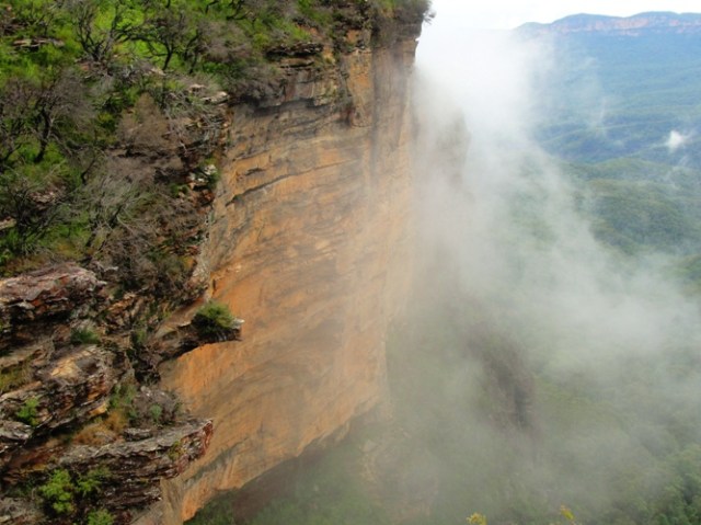 Blue Mountains, Katoomba, Australia, Fog, Rain Forest