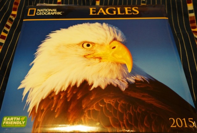 National Geographic Eagles Calendar, 2015 Calendar, Eagles