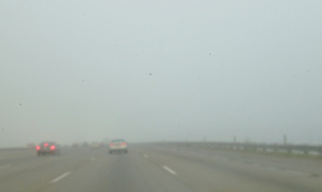 Cars in Fog, Foggy Commute, Dense Fog, Visibility in Fog