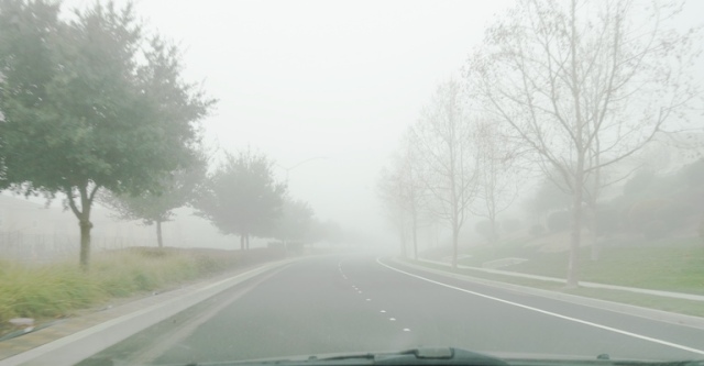 Fog, Trees in Fog, Driving in Fog