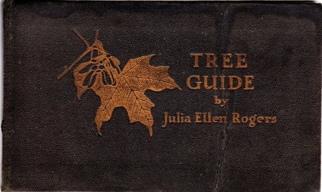 Tree Guide, Julia Ellen Rogers, Trees East of the Rockies, Doubleday, Page & Company, 1926