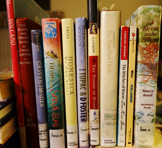 Newbery Books, Newbery Honor Books, Newbery Challenge, Library Books