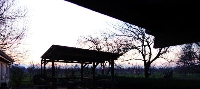 Sundown, silhouettes, shadows, sunset, trees