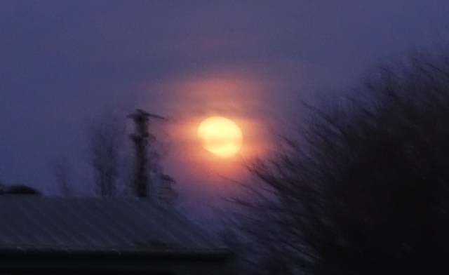 Full Moon, Silhouette, Sundown