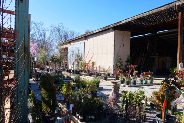 Marquand Gardens, Nursery, M&M Building Supply, Spring Planting