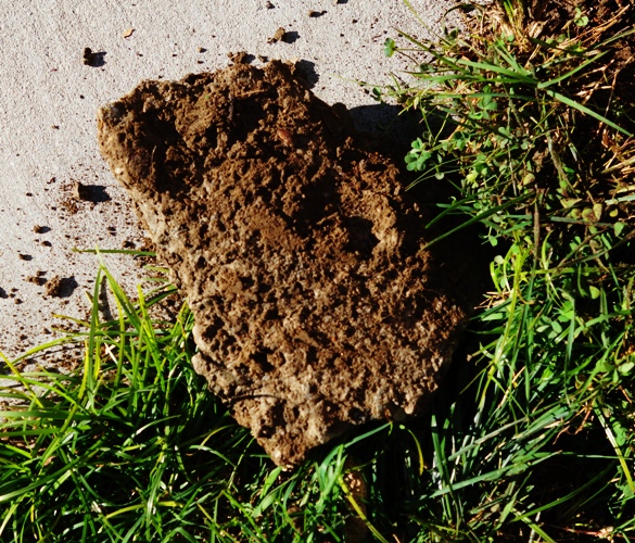 Piece of concrete, construction waste, flower bed