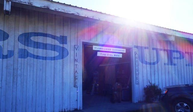 M&M Building Supply, Marquand Gardens, Roses, Nursery