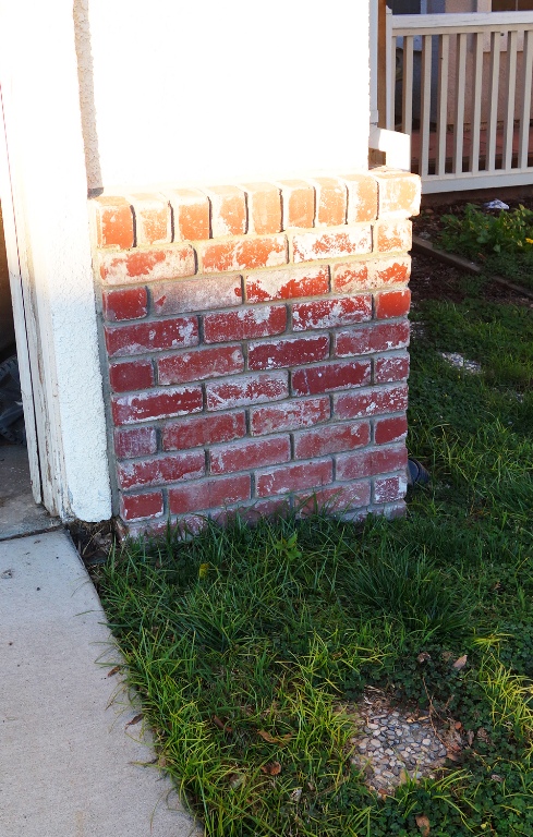 Rose Bush, Mister Lincoln, Yard Work