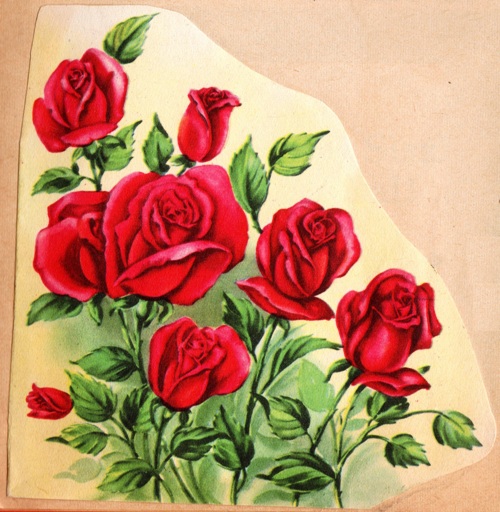 Red Roses, Valentine's Day, Rose Arrangement