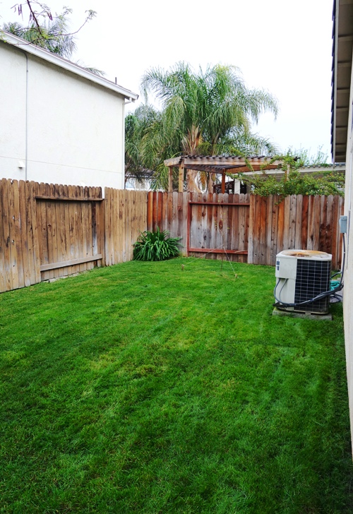 Backyard, Yard Work, Green Grass, Spring Greening