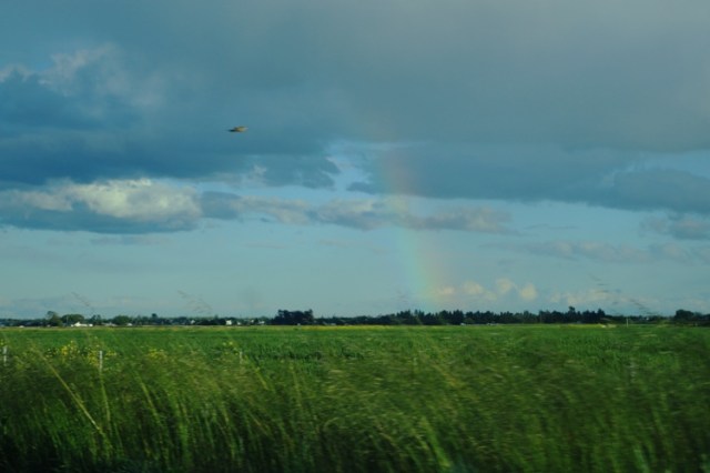 Rainbow, Rain Storm, California Drought, Spring Rain Showers