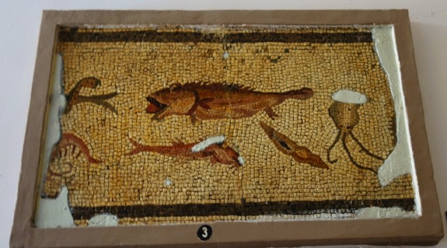 Fish Mosaic, Antakya Archaeological Museum, Hatay, Mosaic Museum