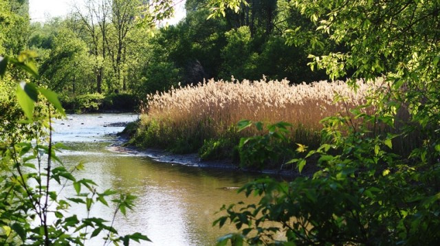 Humber River, River Scene, Beautiful Scenery