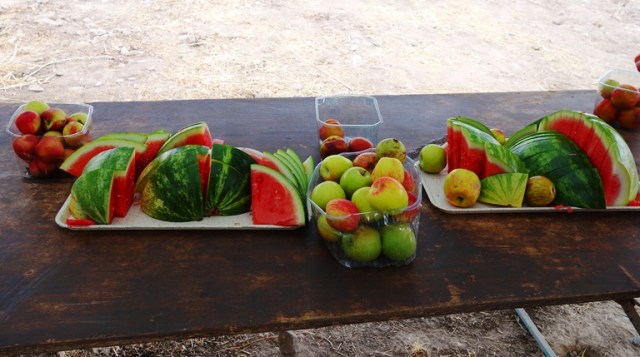 Watermelon Break, Tel Lachish, Archaeology, Apples, Fruit