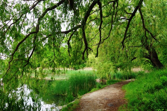 High Park, Toronto, Canada, Grenadier Pond, Spring, Trees