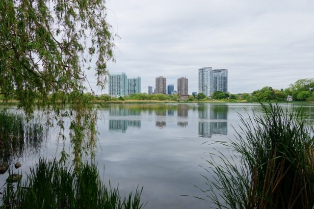 Grenadier Pond, Reflections, Skyline, Toronto, High Park