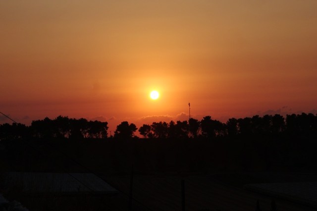 Sunset at the Dig, Archaeological Dig, Silhouettes