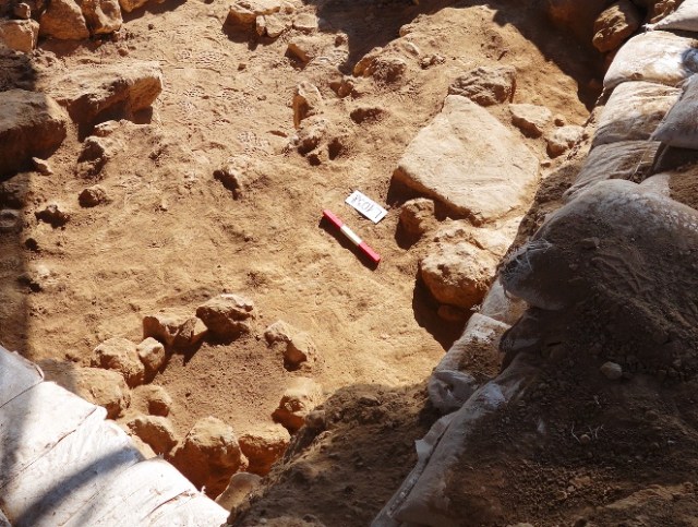 Archaeology, Pictures, Lachish, Size Scale, Find Documentation