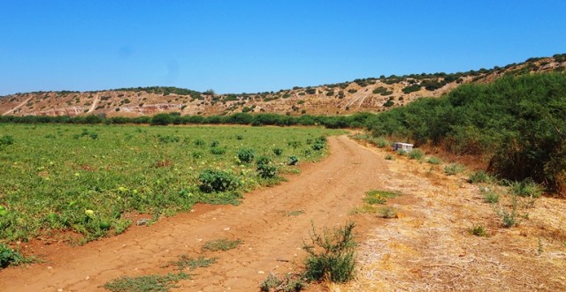 Elah Valley, Samson and Goliath, Brook of Elah