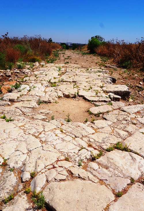 Tel Afeq, Antipatris, Paul, Fortress, Cardo