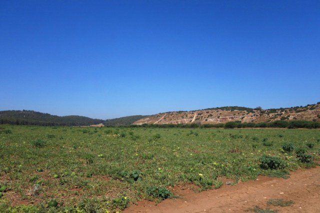 Valley of Elah, Goliath, David, Melon Patch, Khirbet Qeiyafa